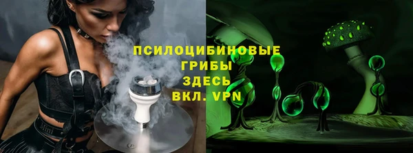 молекула духа Алексеевка