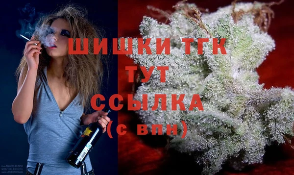 молекула духа Алексеевка