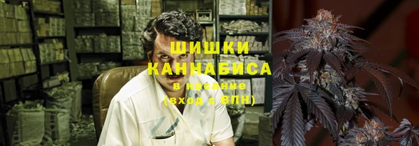 хмурый Алзамай