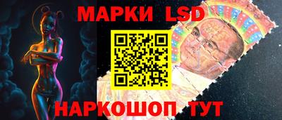 apvp Аша