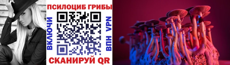 Галлюциногенные грибы MAGIC MUSHROOMS  Курганинск 