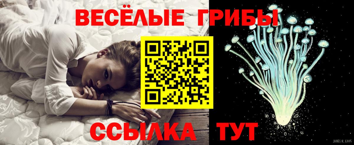 Галлюциногенные грибы прущие грибы  Вход с VPN  Курганинск 